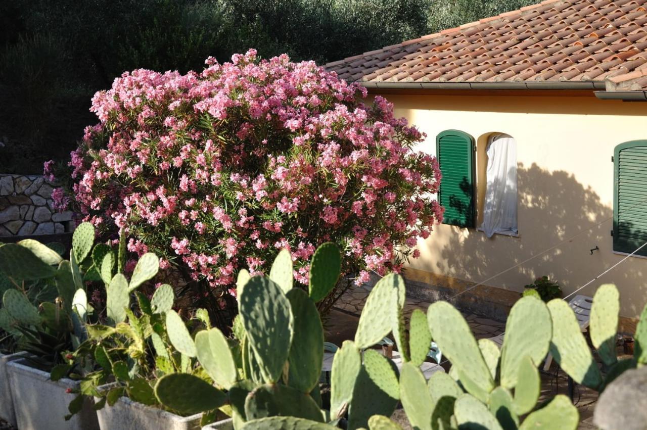 Villa Gualdo Piscina Vista Mare Capoliveri  Bagian luar foto