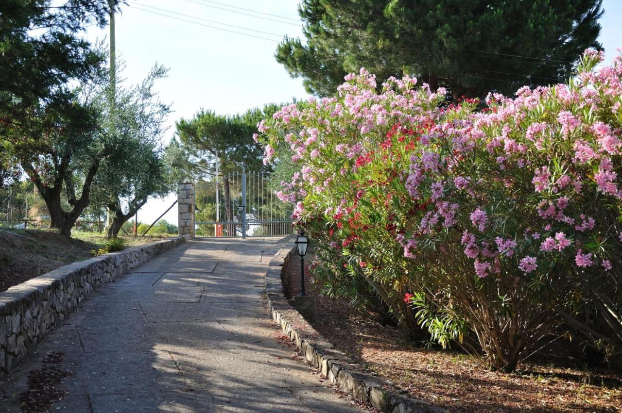 Villa Gualdo Piscina Vista Mare Capoliveri  Bagian luar foto
