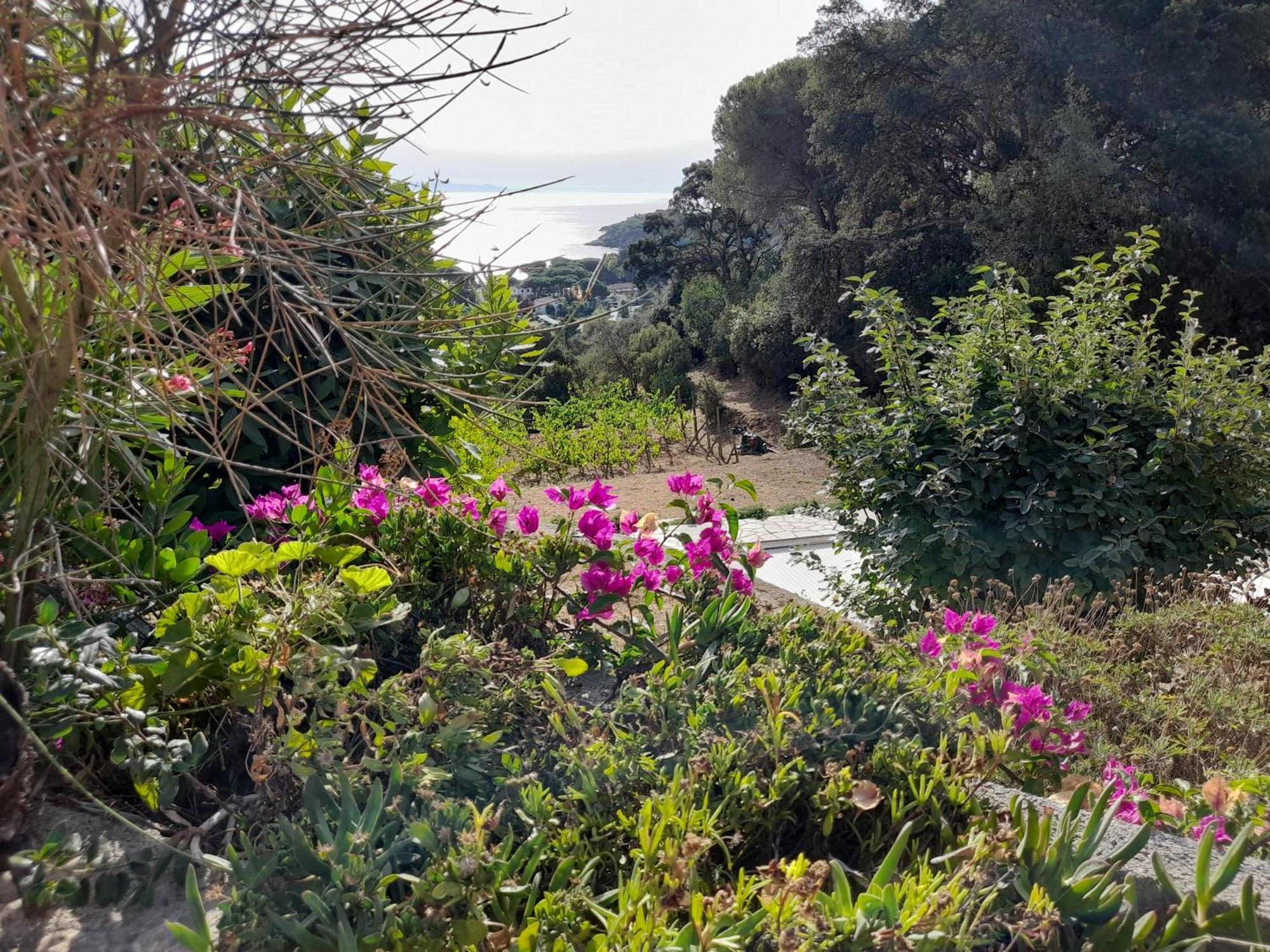 Villa Gualdo Piscina Vista Mare Capoliveri  Bagian luar foto